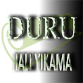 evden eve